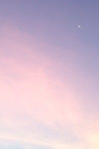 沃尔夫斯堡三连胜：3-1战胜云达不莱梅