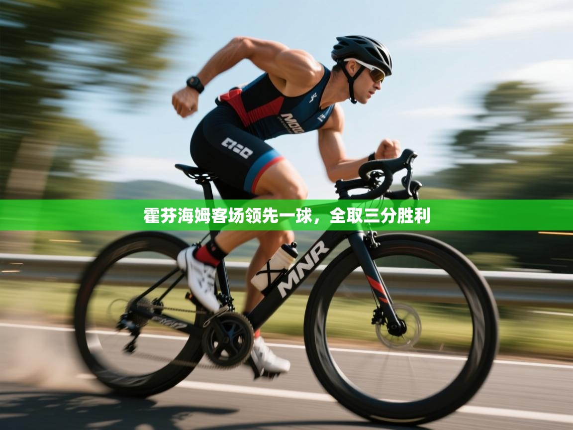 霍芬海姆客场领先一球，全取三分胜利  第1张