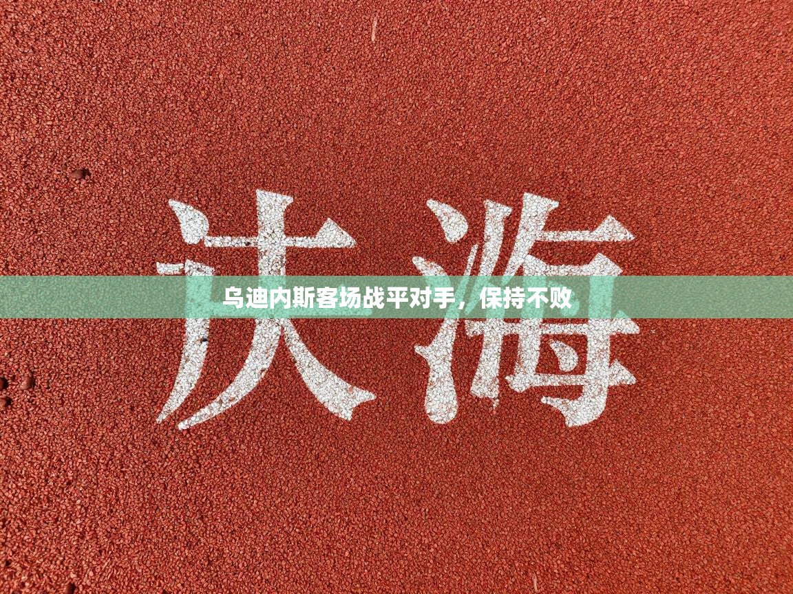 乌迪内斯客场战平对手，保持不败  第1张