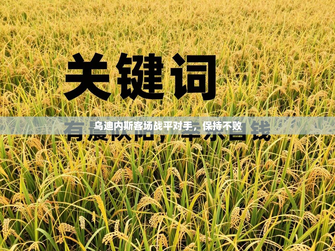 乌迪内斯客场战平对手，保持不败  第2张